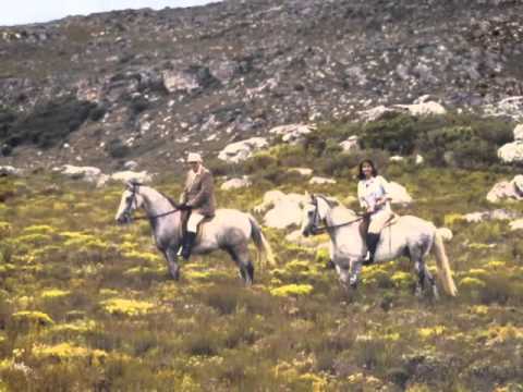 Rozanne Visagie – Broken Fence