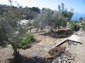 Rustic Plot of about 7.500m² with House/Ruin in Mezquitilla / Spain