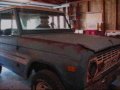 Early Bronco 1