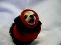baldex con frio y reclamando