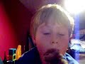 Hamster Sniffing Around