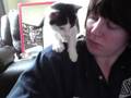 Purring Kitten number 2