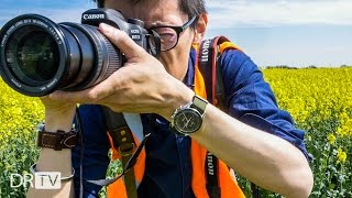 Canon 80D vs. 7D Mark II - Which One to Get