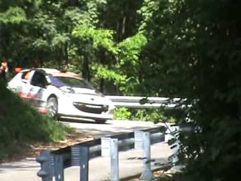 45° Rally Del Friuli E Delle Alpi Orientali 2009