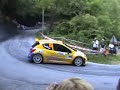 45° Rally Del Friuli E Delle Alpi Orientali 2009 3