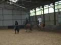 Horse ball