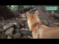 H24.2.18~2.24「カニバラ」