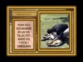 ENTRENAMIENTO CANINO