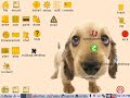 Painel de Controle Puppy Linux - PCP2