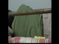 Nibbling