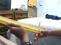 ���� ���� ���� �������� �������