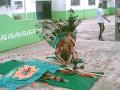 peuples amerindiens sauvons notre culture cuauhtemoc  suite 