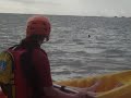 Dolphin Sea Kayaking GO SEA KAYAK Byron Bay June 17