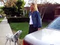 neighbor squabble