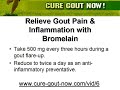 Gout Natural Remedies - Bromelain