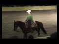 Smart Top Enterprise Große Nacht der Hengste/Stallion Parade