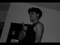 batavia tourist video