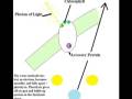 photosynthesis .mov