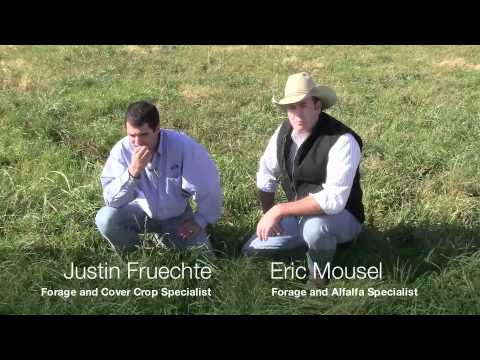 how to fertilize horse paddocks
