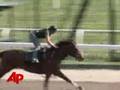 Big Brown to Break From No. 1 Post in Belmont