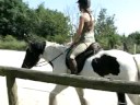 petit-trot-enlev-avec-thorgal-.html