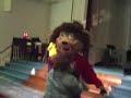 Daniel the Lion *D-Lion is ready!! Are you? Daniel the Lion *D-Lion is ready!! Are you?