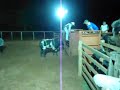 Click here to watch this video Debley marques vs afegãnistao - cia 3 r