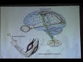 O que é Neurofisiologia? O que é Neurofisiologia?
