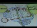 videos de O que é Neurofisiologia?