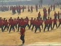 Shaolin Wushu Guan