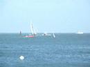 Sausalito - Coast Guard checks sunken sailboat