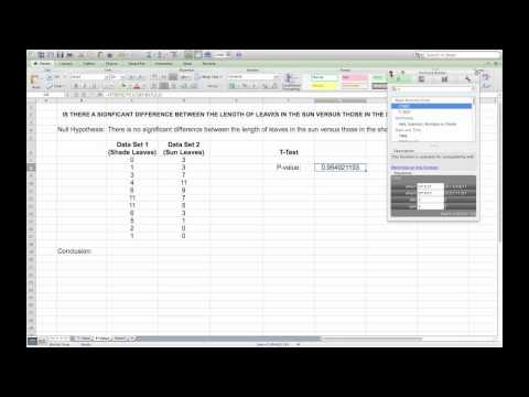 how to perform t test in excel