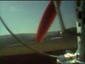 Sky Surfer Flight 4B+4C