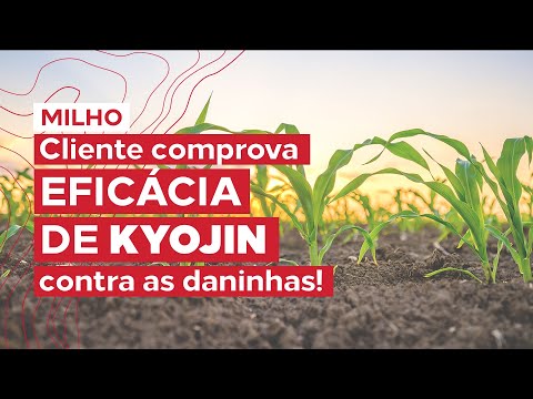 Cliente do RS comprova a eficácia de Kyojin contra as daninhas da soja! 