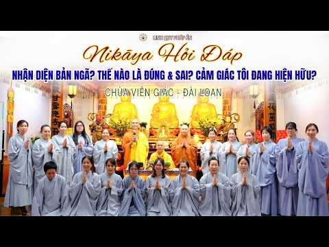 NIKAYA Hỏi Đáp - Nhận Diện Bản Ngã ? Thế Nào Là Đúng ? Sai ? - Cảm Giác Tôi Đang Hiện Hữu ?