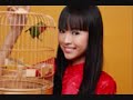 Chanson de Pierre Perret arrangements berni chant nini