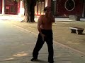 Praying Mantis Kung Fu Hammer Form - Master Shi Praying Mantis Kung Fu Hammer Form - Master Shi