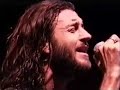 Roger Clyne & the Peacemakers Girly/Baba O'Riley