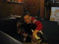 Dog Fight Dog Fight