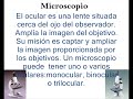 MICROSCOPIO - MICROSCOPE MICROSCOPIO - MICROSCOPE