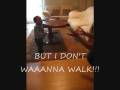 videos de Ty's first REAL steps