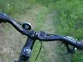 Biking the Wooded Trail