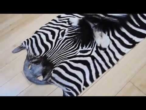 how to skin a zebra