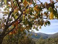 IES MOLINA DE ARAGÓN (MONTAJE FOTOGRÁFICO UMBRALEJO)
