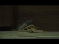 Mouse Trap