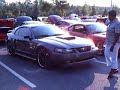 mustang car show