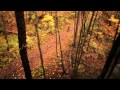 Chattanooga in 3 Minutes - YouTube