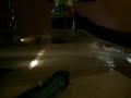 Awesome bug repelent/ stain bomb