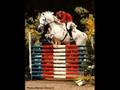 Showjumping!