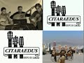 citaraedus grupo de camara